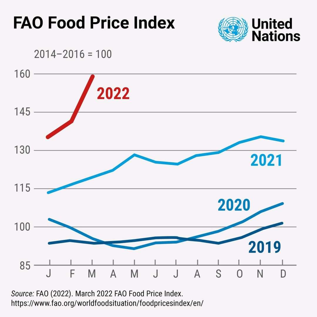 أسعار الغذاء منظمة الفاو