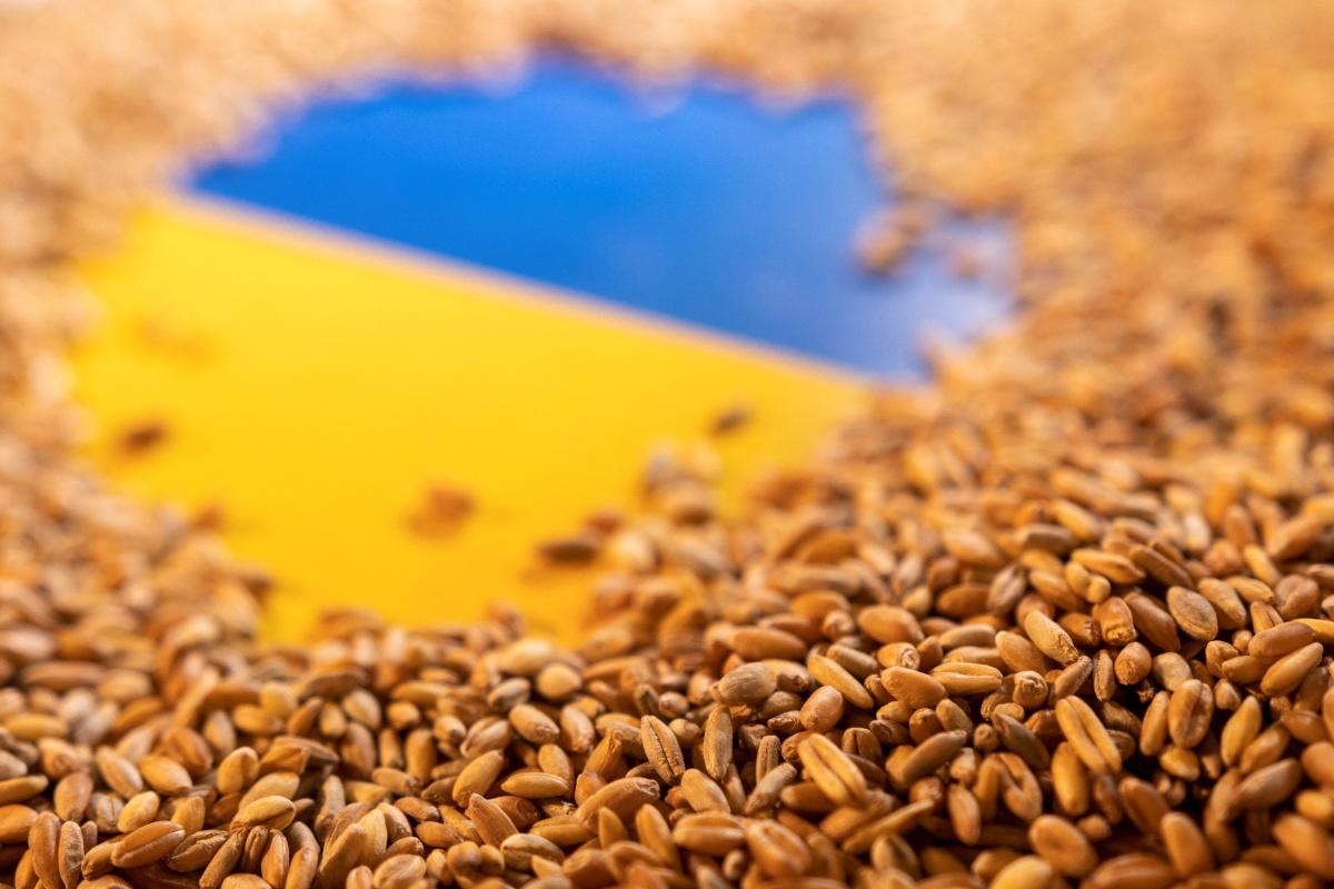 2.4 مليون طن قمح واردات مصر من القمح الروسي