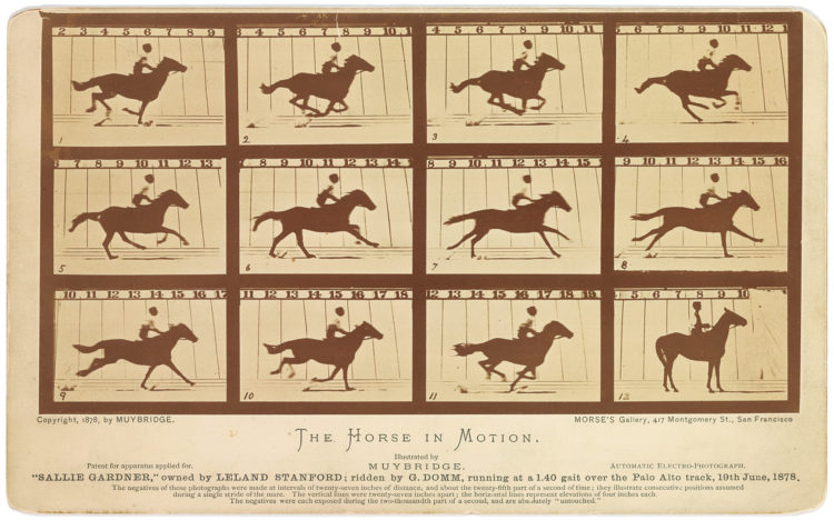 famous photo Eadweard.Muybridge.1878 The Horse in motion 750x468 1