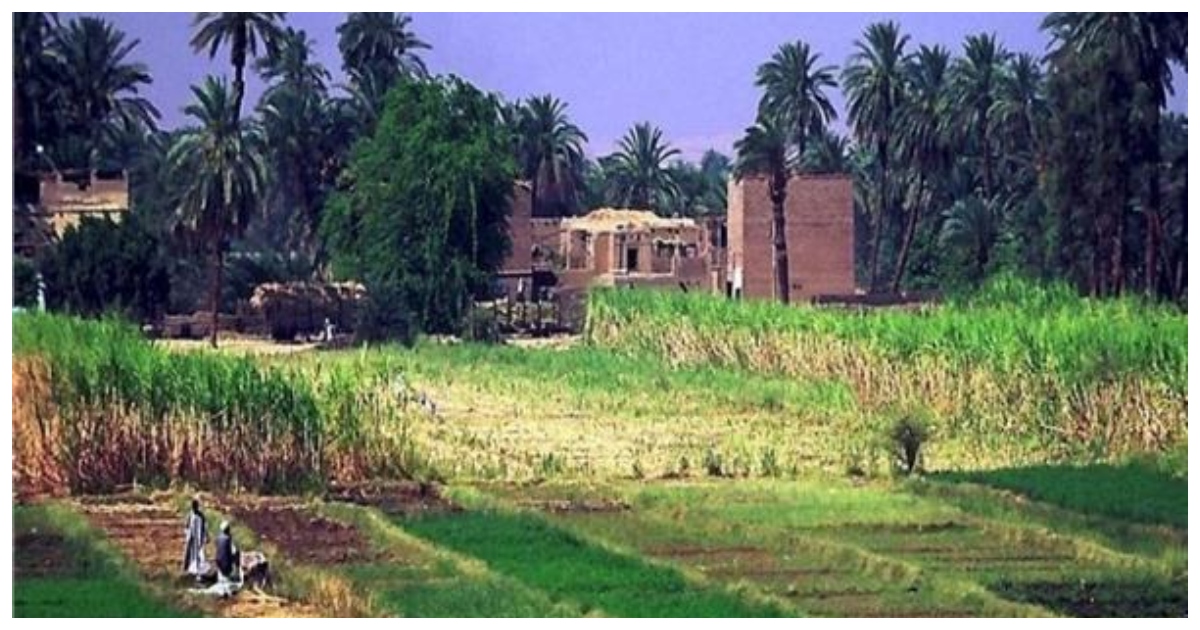 الريف المصري