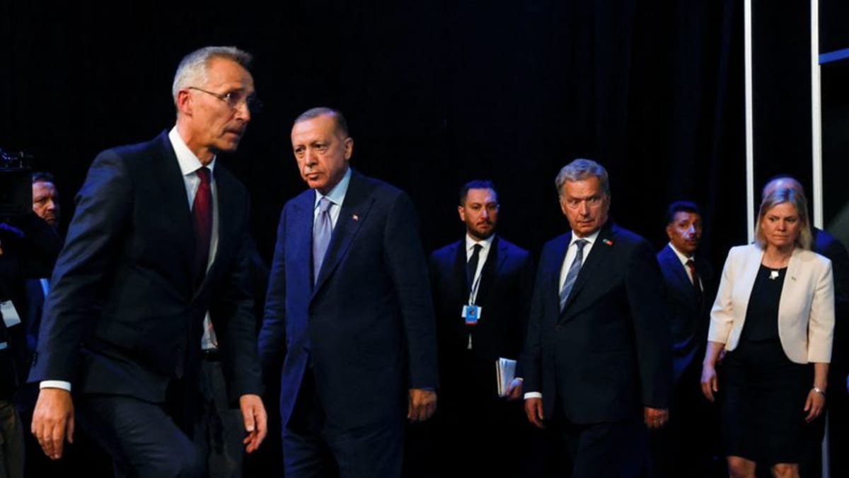 تركيا وصعوبات الناتو