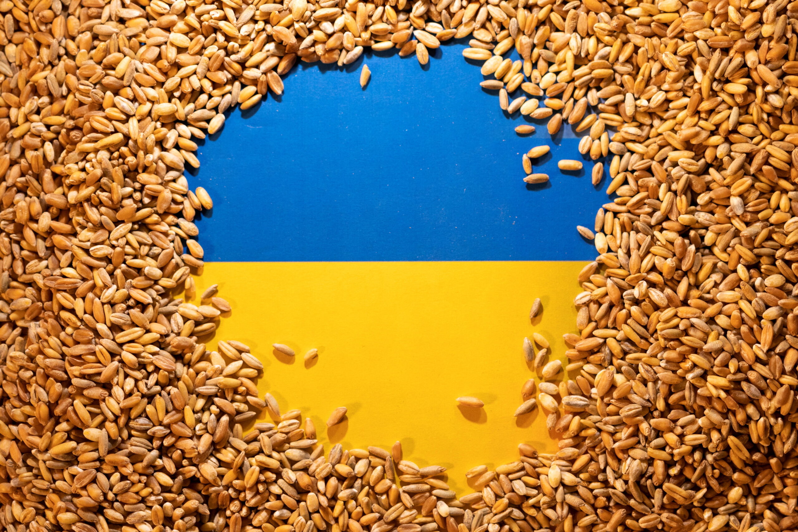 مناشدة أمريكية إلى مجموعة العشرين للضغط على روسيا بشأن الحبوب الأوكرانية أرشيفية scaled