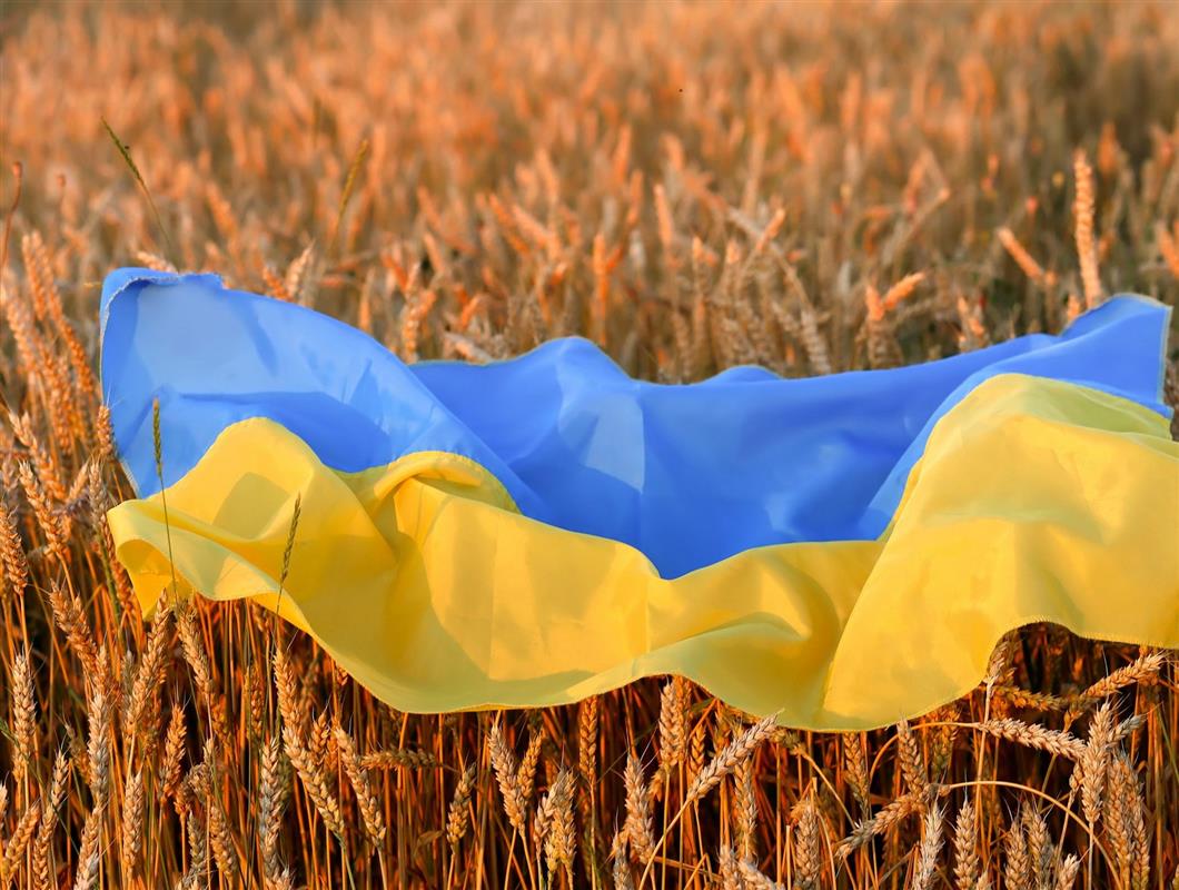 الحبوب الاوكرانية