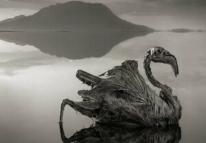 بحيرة المومياوات تنزانيا