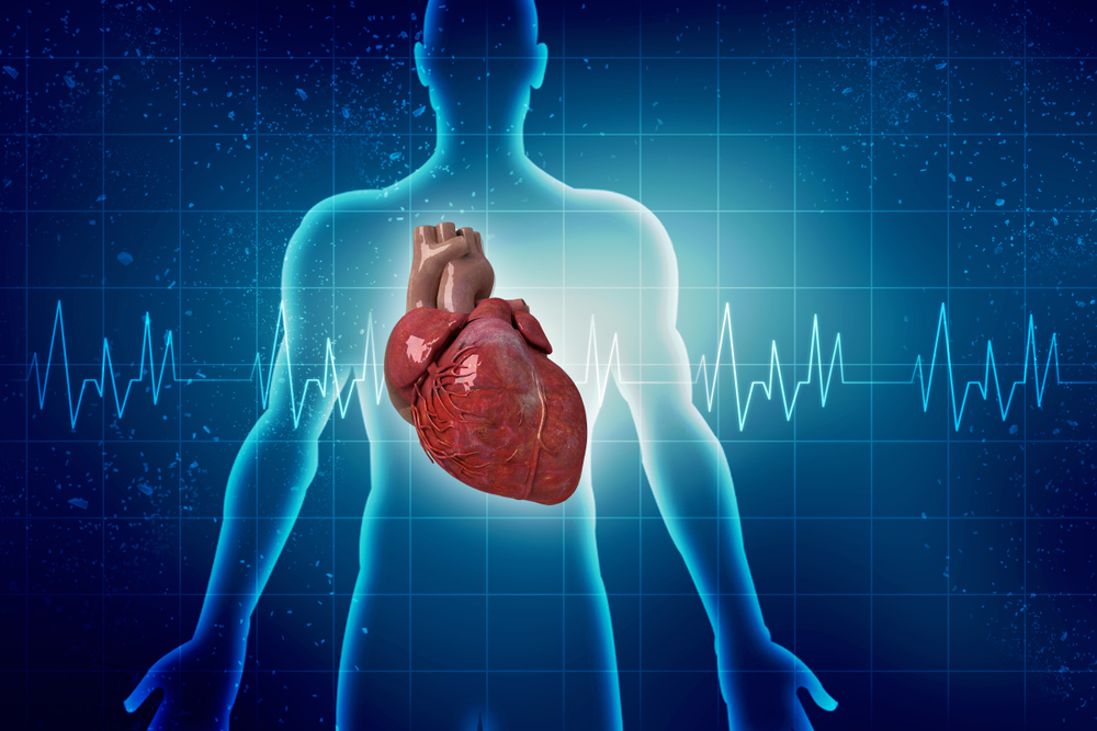 أسباب وعوامل خطر أمراض القلب