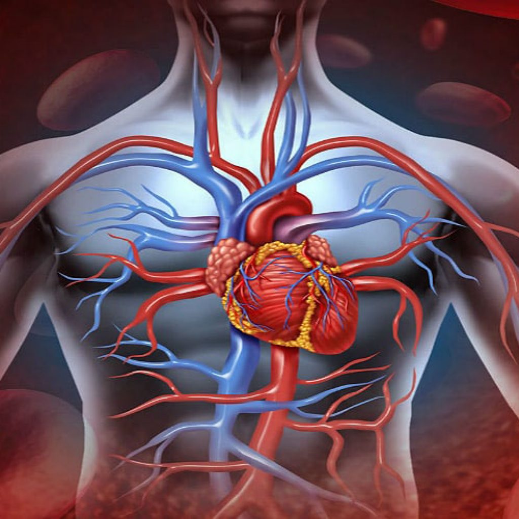 افحص قياس عمر عضلة القلب