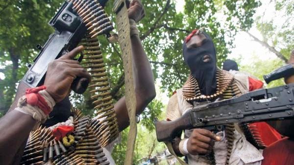 Niger Delta militants new