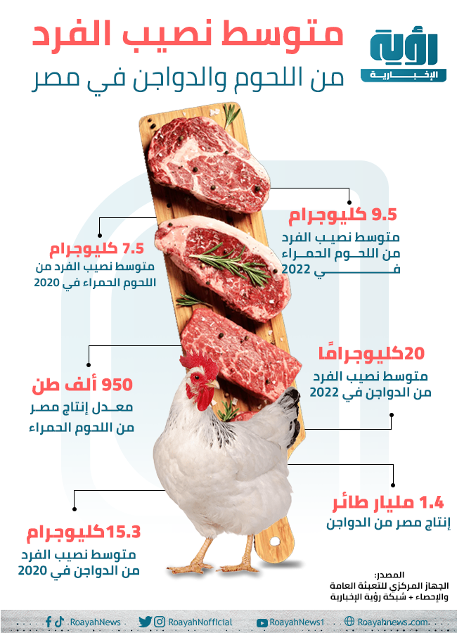 متوسط نصيب الفرد في مصر من اللحوم بمختلف أنواعها
