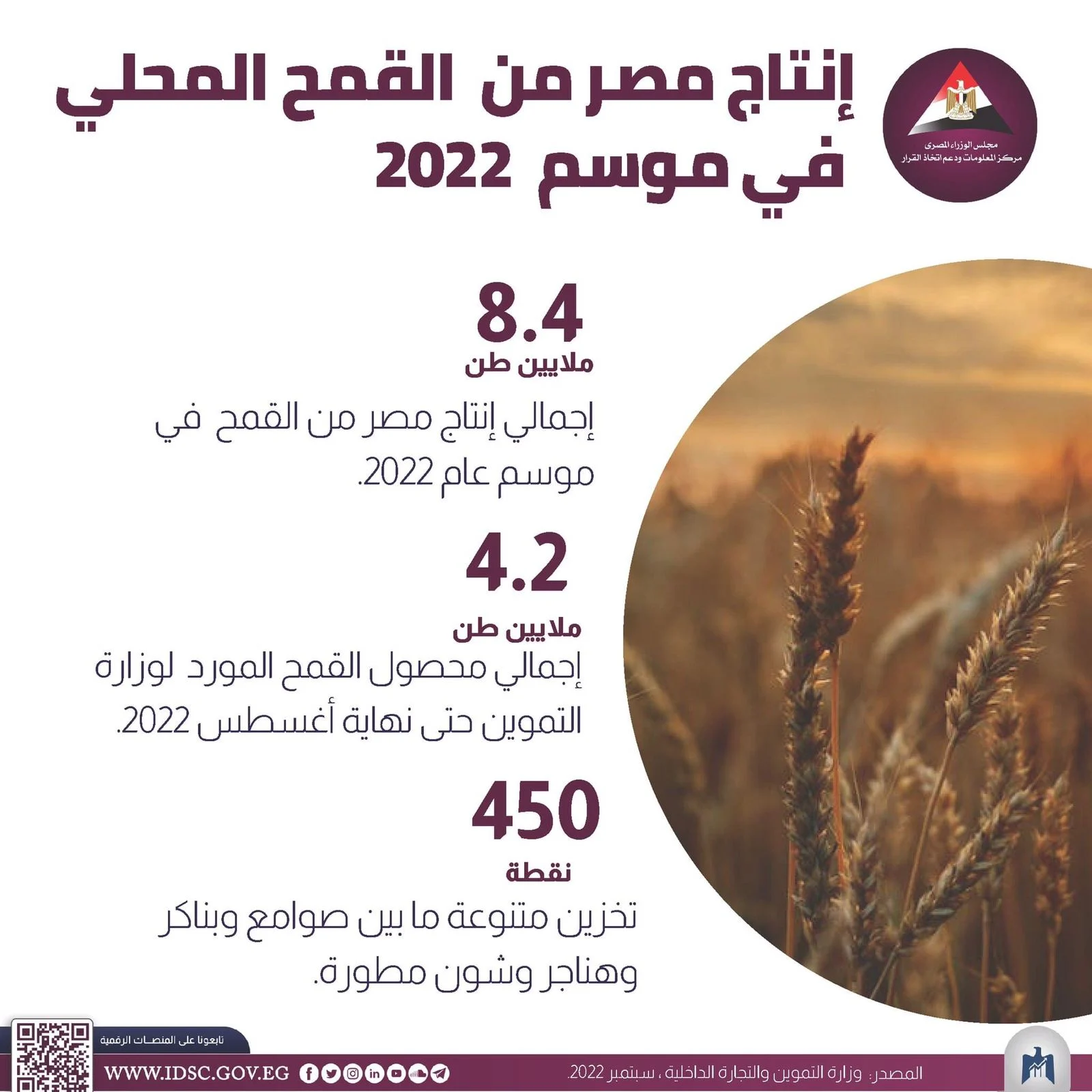 إجمالي إنتاج مصر من القمح في عام 2022