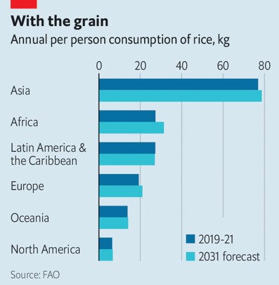 العالم يشهد أزمة في الأرز.. الأسباب والحلول