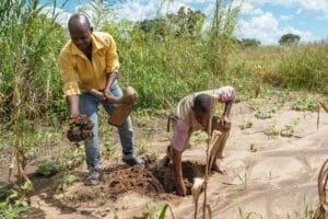 نشطاء المناخ في مالاوي