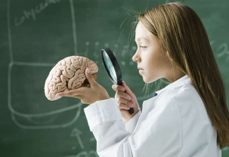 الدماغ البشري يمثل لغزا محيرا للعلماء