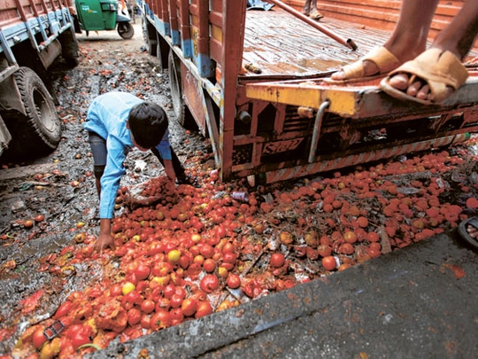 الشعب يعاني .. كيف تتسبب تغيرات المناخ في أزمة كبيرة بمحصول الطماطم في الهند؟