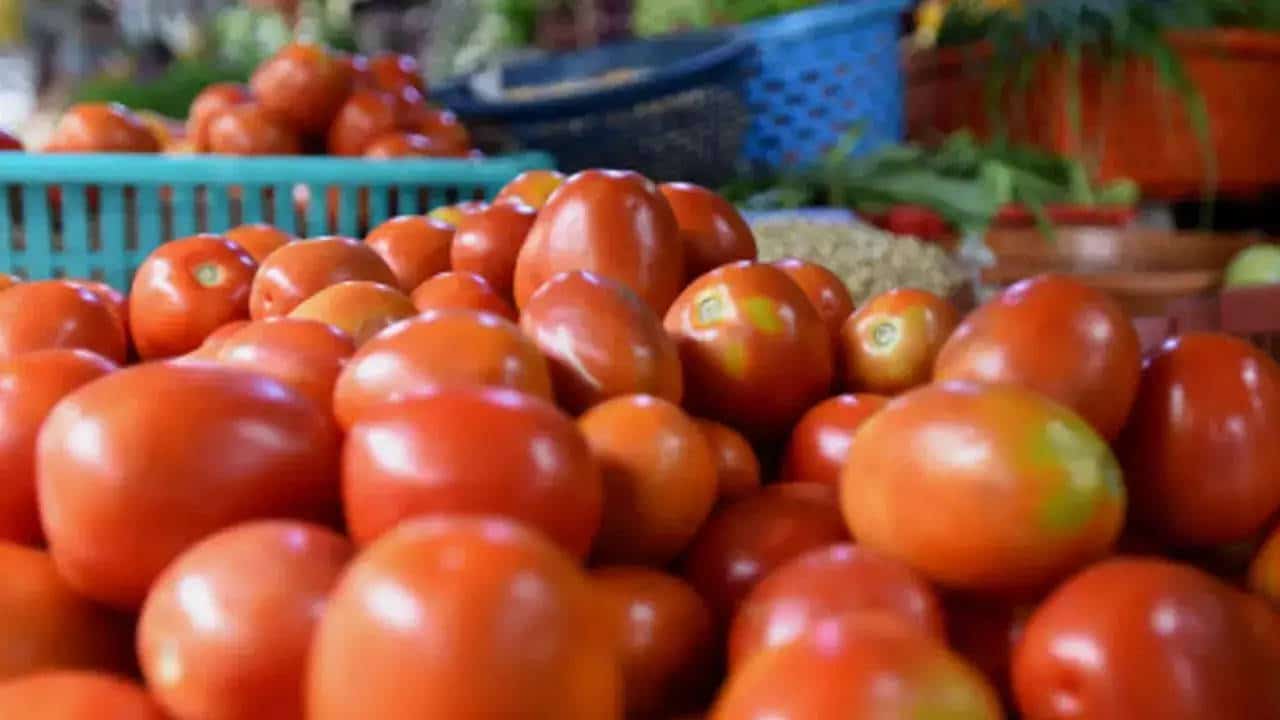 الشعب يعاني .. كيف تتسبب تغيرات المناخ في أزمة كبيرة بمحصول الطماطم في الهند؟
