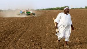 الزراعة في السودان 