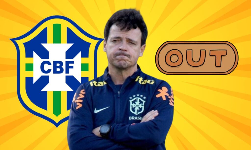 فرناندو دينيز - منتخب البرازيل