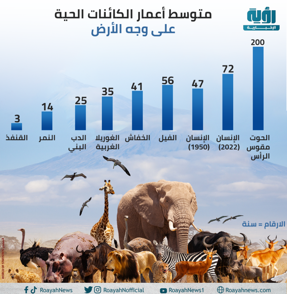 متوسط أعمار الكائنات الحية على وجه الأرض 1