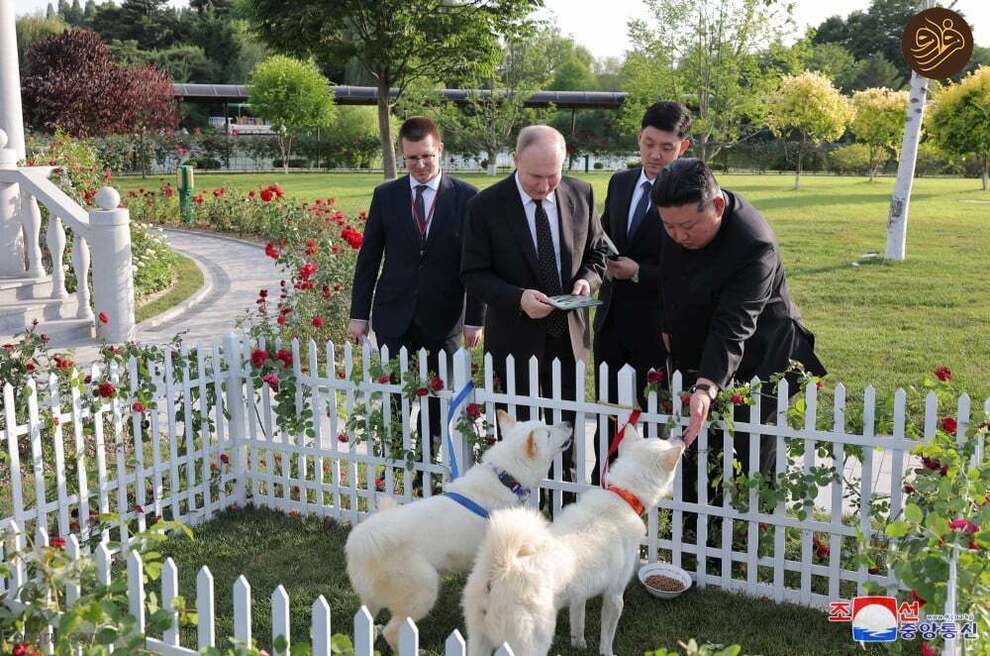 كلاب بوتين من كيم 5